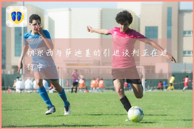 切尔西与萨迪基的引进谈判正在进行中