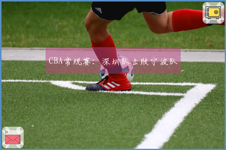 CBA常规赛：深圳队击败宁波队