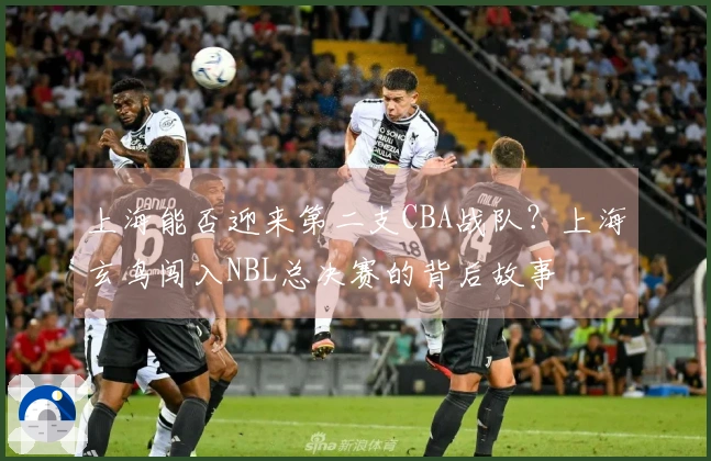 上海能否迎来第二支CBA战队？上海玄鸟闯入NBL总决赛的背后故事