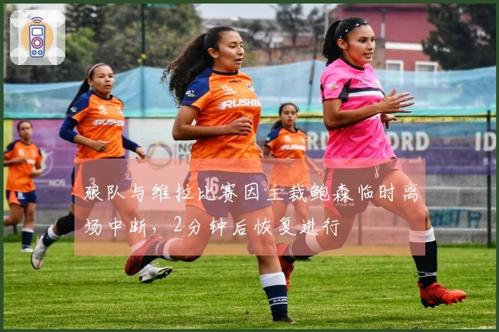 狼队与维拉比赛因主裁鲍森临时离场中断，2分钟后恢复进行