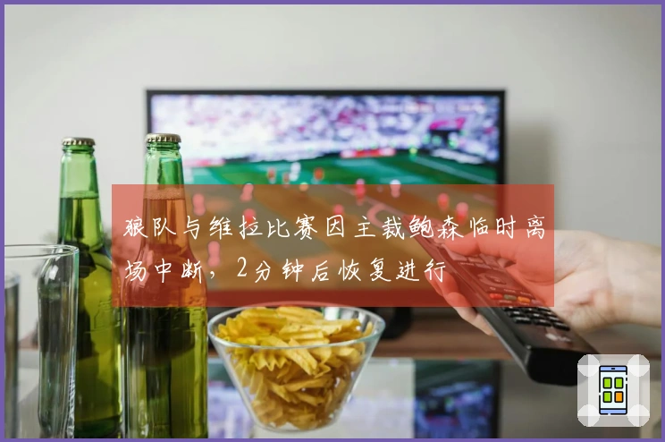 狼队与维拉比赛因主裁鲍森临时离场中断，2分钟后恢复进行